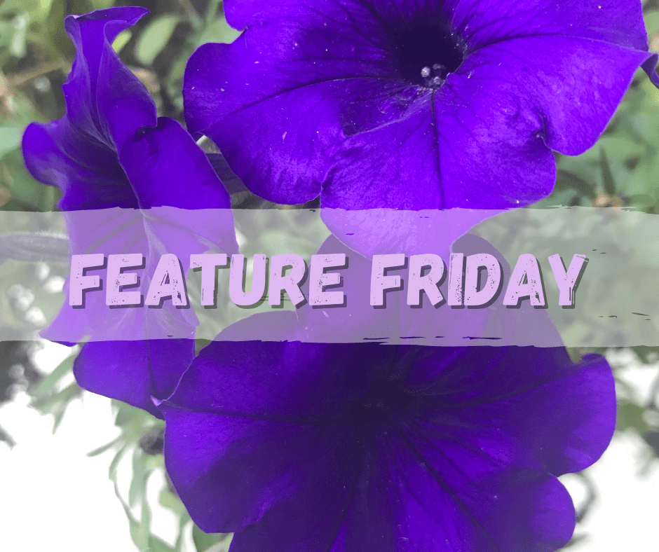 Feature Friday: Plant Care